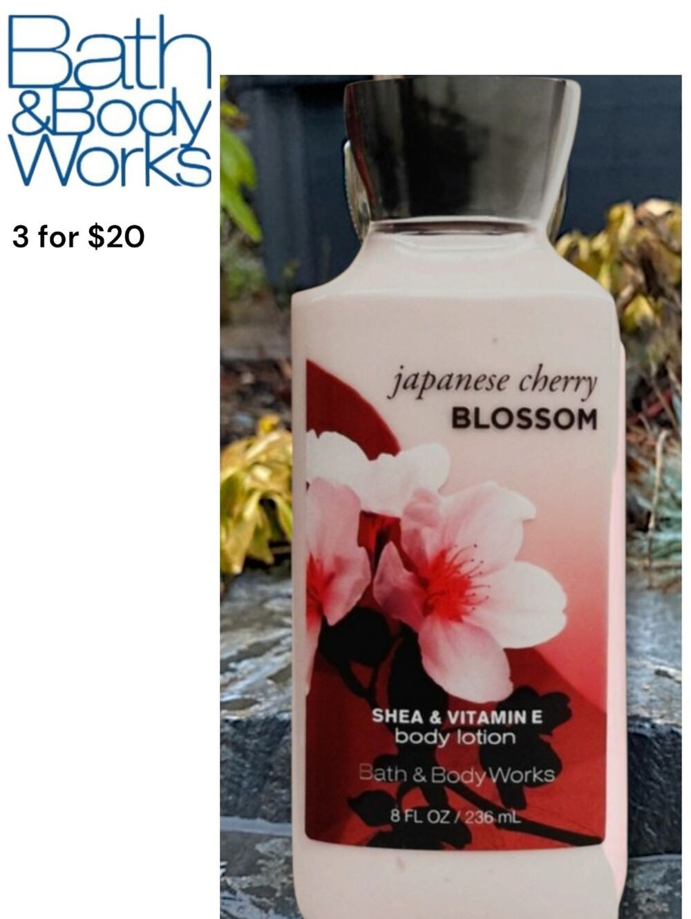 Bath & Body Works Japanese Cherry Blossom Lotion